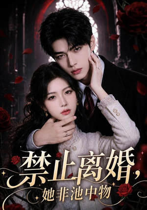 禁止离婚，她非池中物（144集）哪个短剧网能看