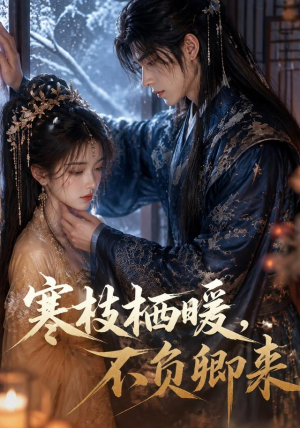 寒枝栖暖，不负卿来（50集）火爆热门短剧