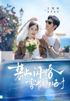 禁止闪婚，雾散归栖时（66集）独家资源免费看