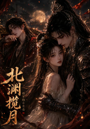 北渊揽月：将军的小月亮（41集）在线免费观看