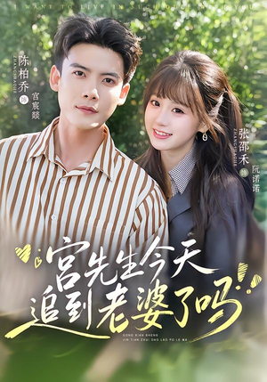 宫先生今天追到老婆了吗(73集) 宫先生今天追到老婆了吗(73集)经典老剧免费看