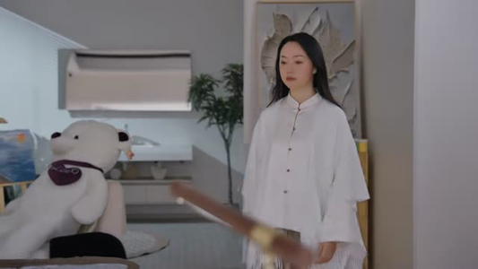 十二花神（48集）短剧在哪里看