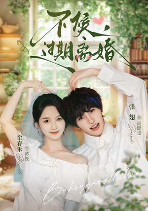 不候，过期离婚（86集）剧情简介