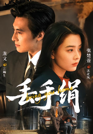 丢手绢（76集）一共多少集