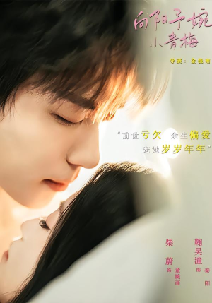 向阳予婉小青梅（72集）UC网盘在线看