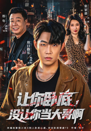 让你卧底，没让你当大哥啊（80 集）短剧在线更新