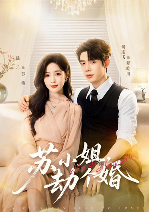苏小姐,劫个婚(80 集) 苏小姐,劫个婚(80 集)看到大结局