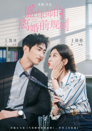 盛律师的离婚前规则（97 集）火爆短剧抢先看