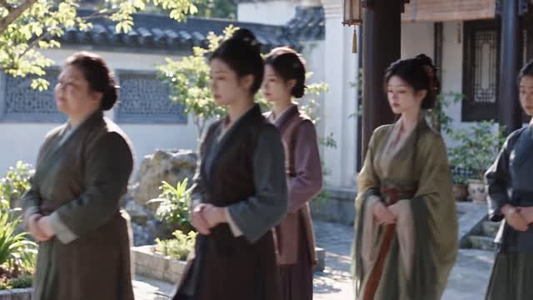 喜折春（42集）好看短剧抢先看