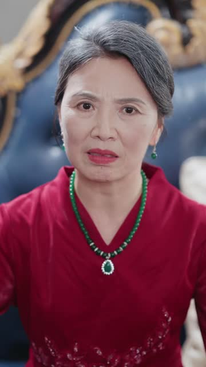 母亲病逝后我不要他了（40 集）1-102集