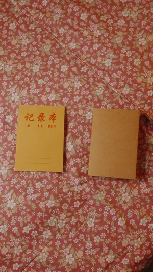 重生1990之美女如云（288 集）免费观看