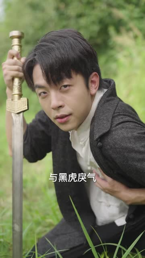 虎祸之阴阳双虎（52 集）在线观看